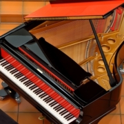 Umfrage Musikschulen